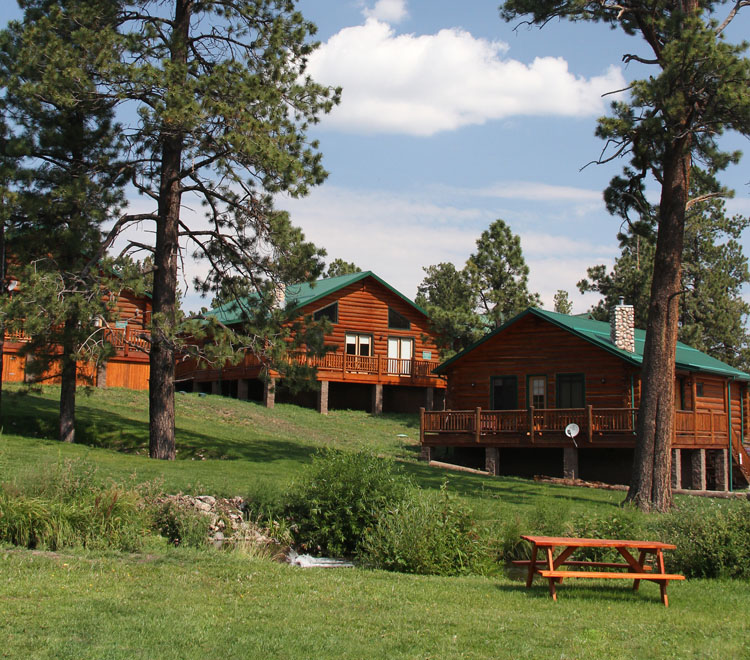 Cabins Sleep 10 Greer Lodge Arizona