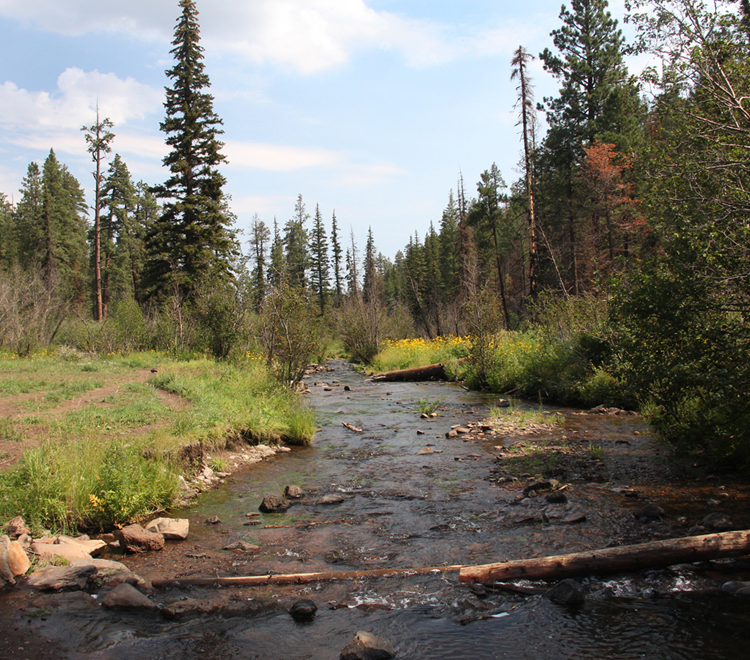 I Love Greer Arizona | research.engr.tu.ac.th