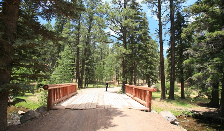 Scenic walk - Bridge in Greer, AZ