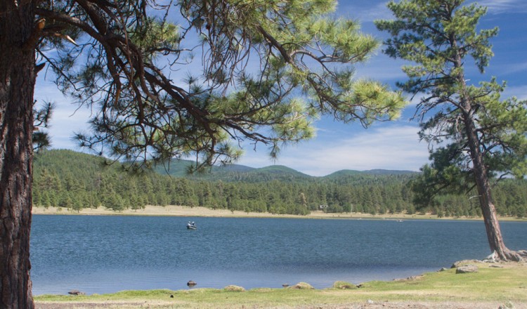 Hawley Lake in Arizona, Fly Fishing