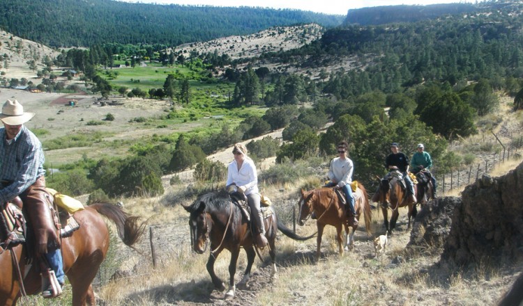 Horseback Riding