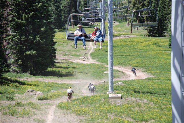 Downhill Mountain Biking at Sunrise Park Resort