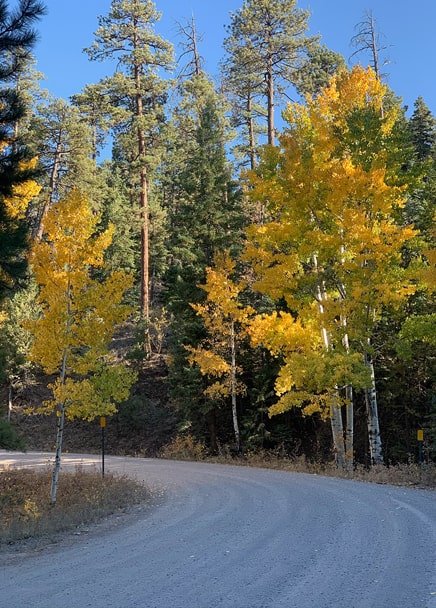 Amazing Fall Colors in Greer, AZ