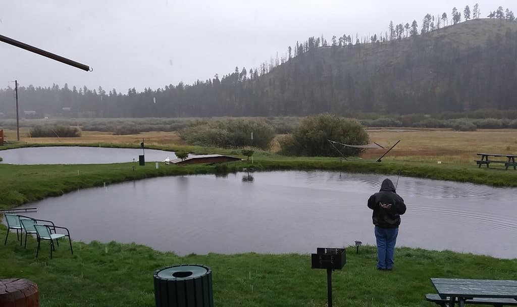 Fly Fishing at Greer Lodge