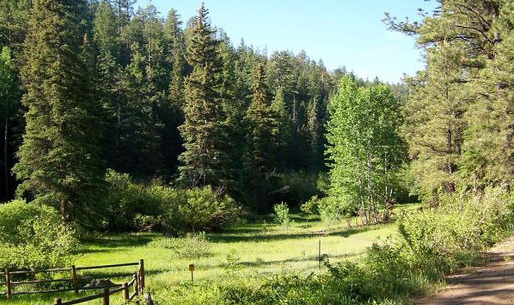 Hiking Trails in Greer, AZ