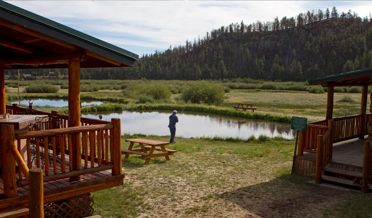 Free Fly Fishing at Greer Lodge