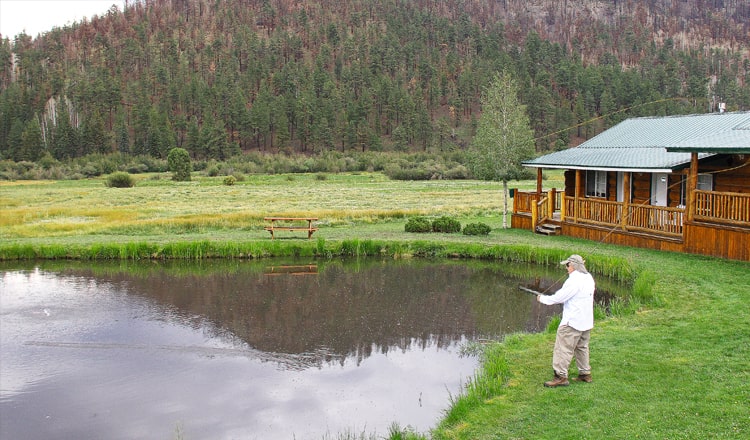 Trout Fishing Ponds at Greer Lodge