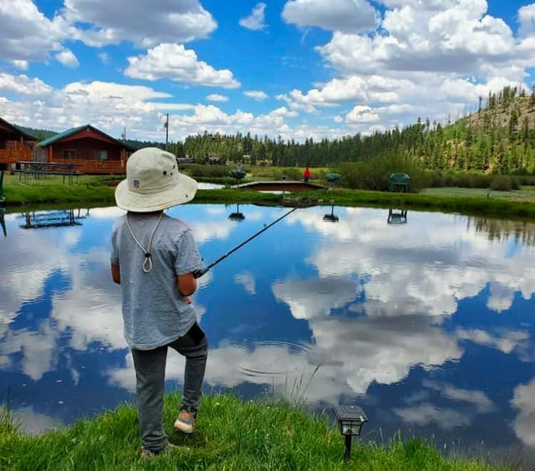 Fly Fish for Free at Greer Lodge's Private Trout Pond