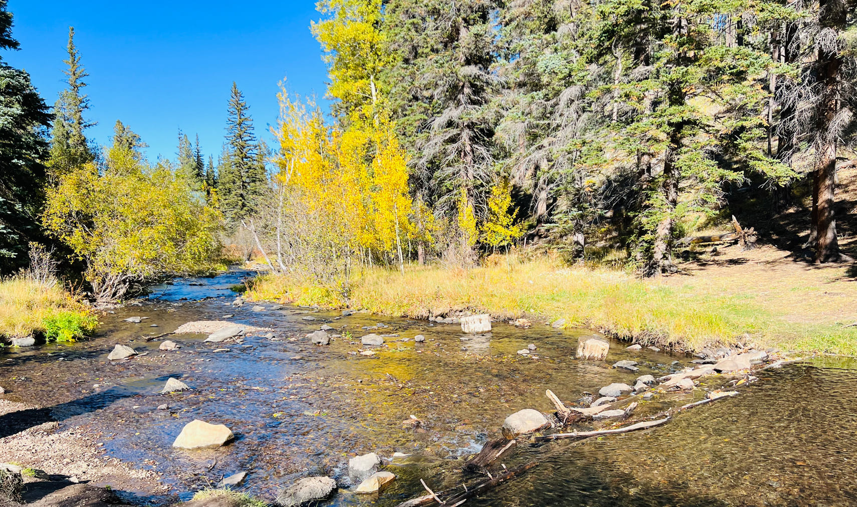 Autumn scenery along the Little Colorado River trail