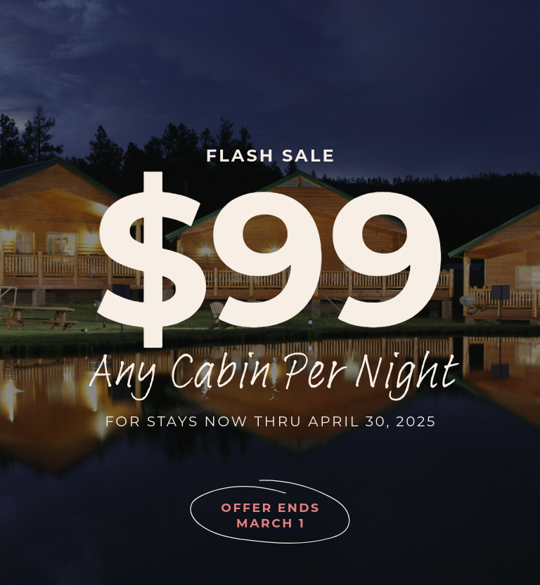 $99 Cabin Flash Sale - For Stays thru April in Greer, AZ